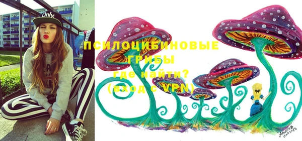 твердый Армянск